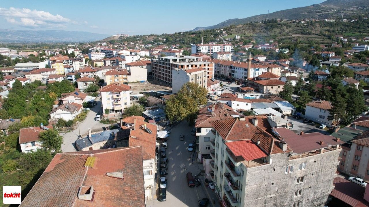 Ağaç (6)