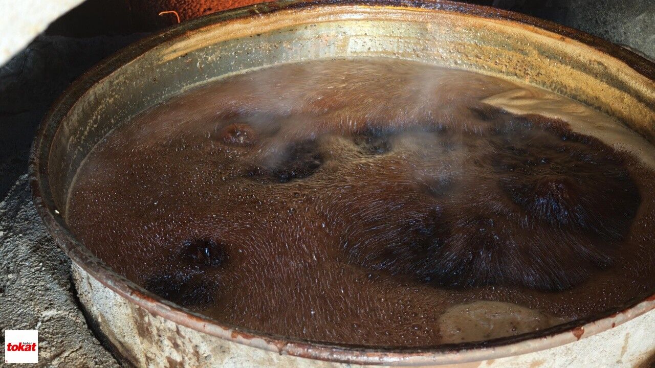 Bağ Bozumu (1)