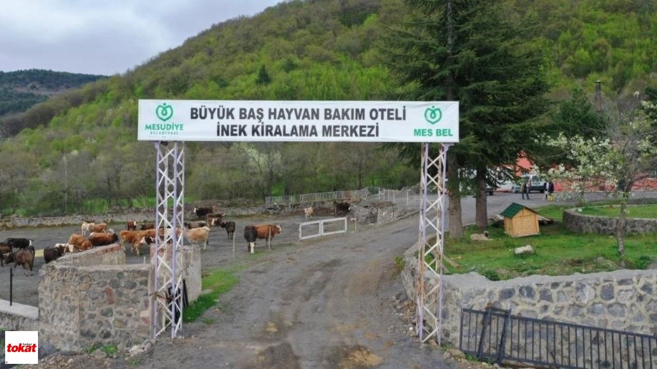 Inek Oteli1