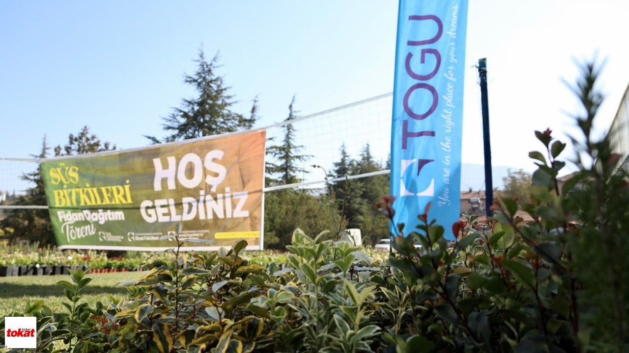 Süs Bitkisi (1)
