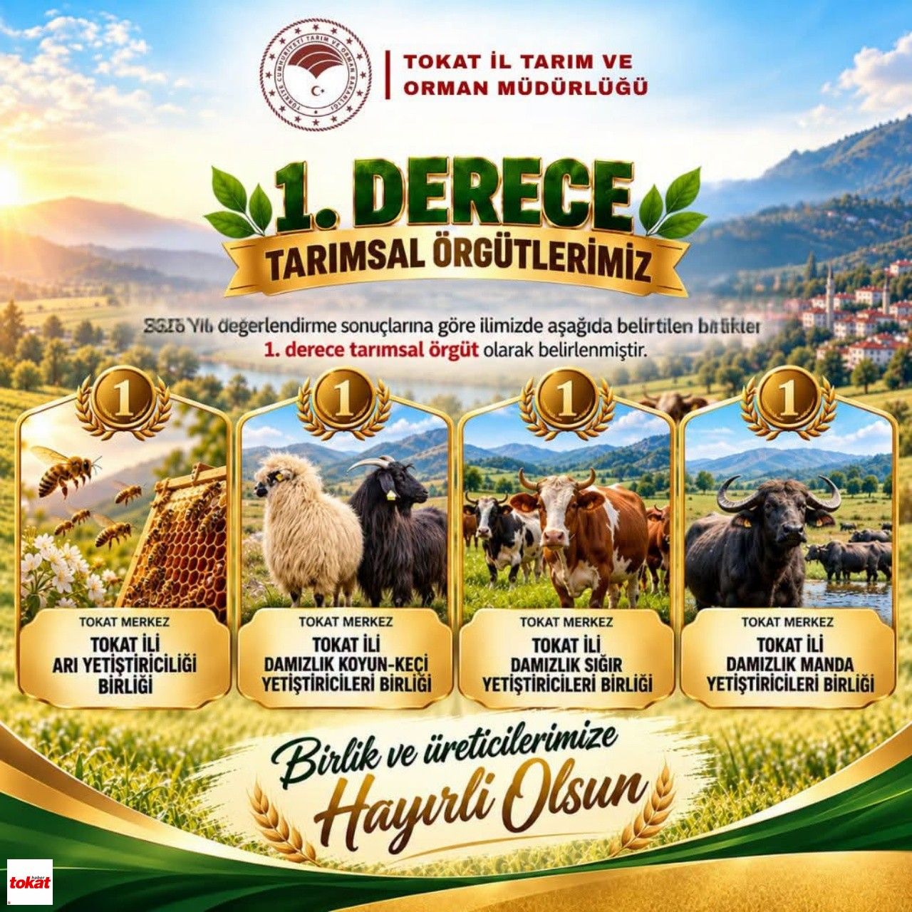 Tokat 1. Derece Tarımsal Örgüt Statüsü