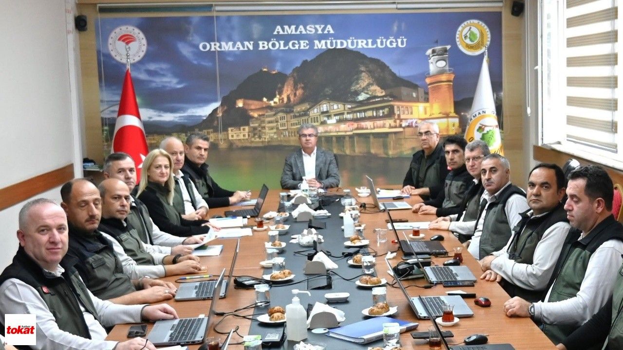 Tokat, Amasya, Samsun Ve Çorum'da Ormancılık Faaliyetleri Değerlendirildi1