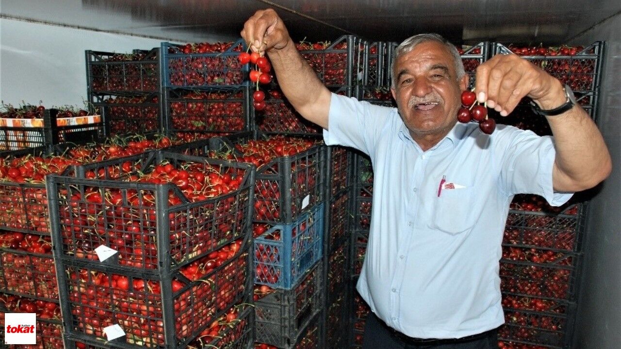 Tokat En Çok Kazandıran Meslek2