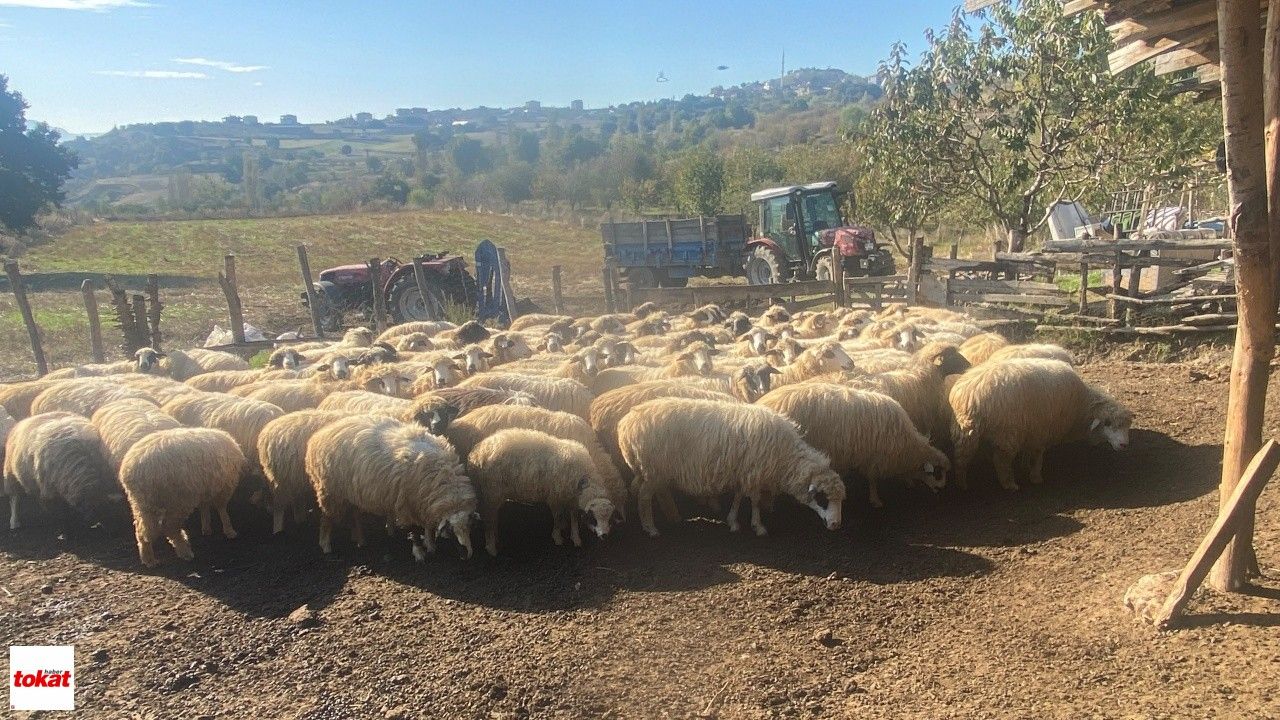 Tokat’ın Yıllardır Beklediği Fakülte Yeniden Gündemde!2