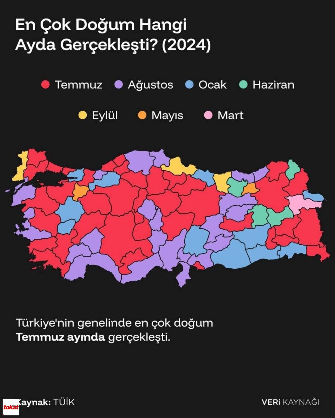 Tokat’ta En Çok Doğum Hangi Ayda1