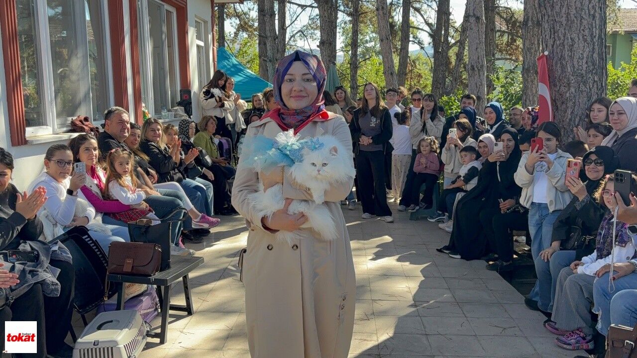 Tokat'ta Kediler Podyuma Çıktı1
