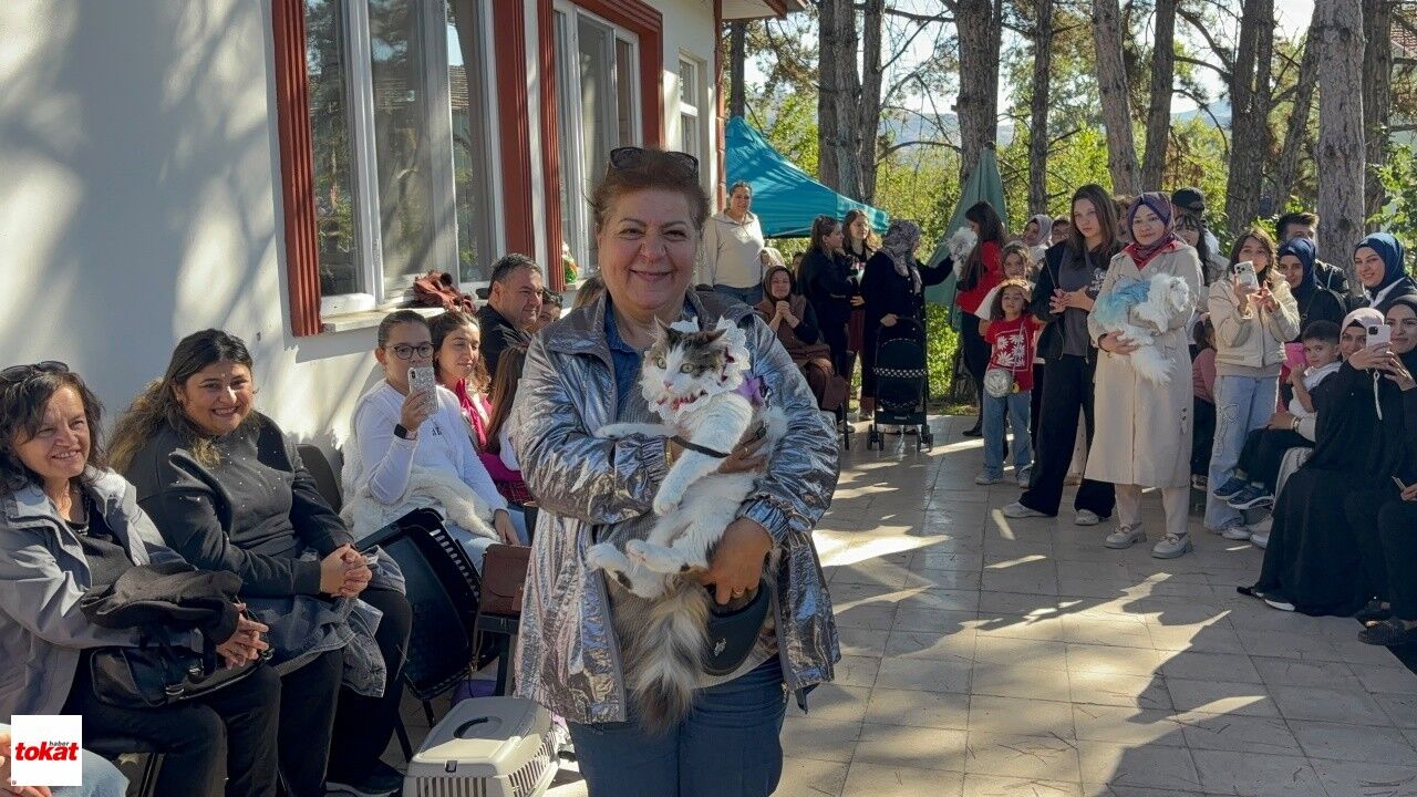 Tokat'ta Kediler Podyuma Çıktı3