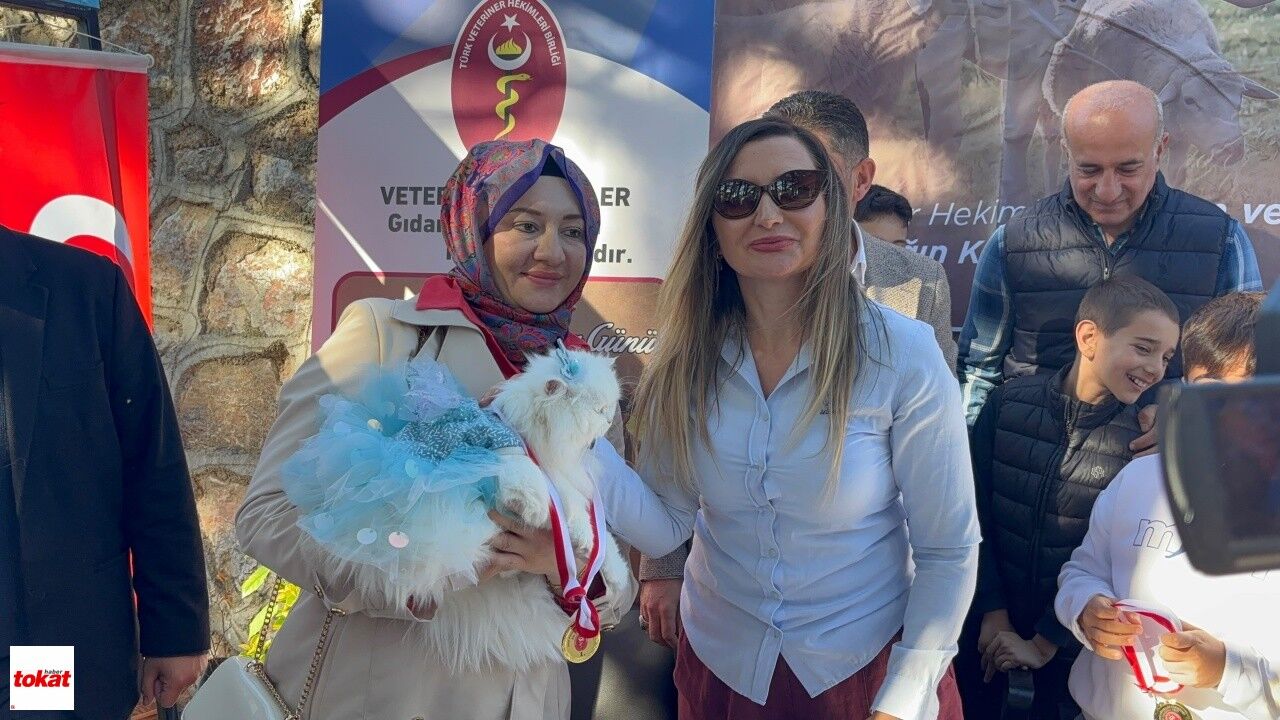 Tokat'ta Kediler Podyuma Çıktı4
