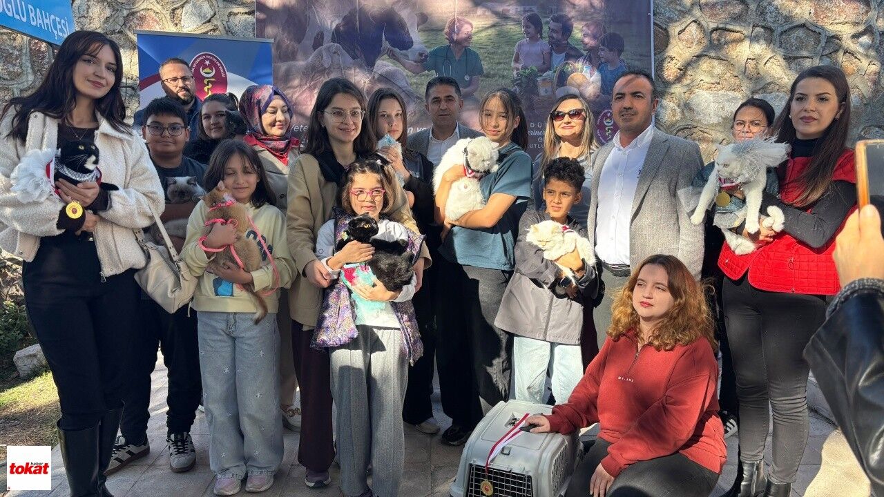 Tokat'ta Kediler Podyuma Çıktı5