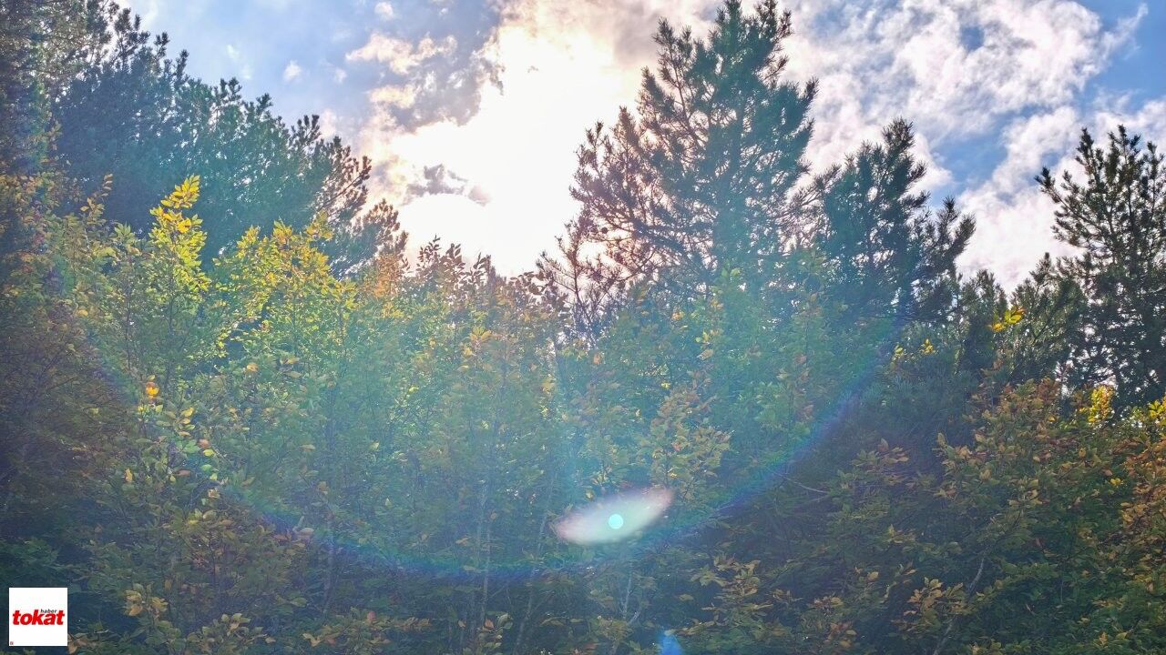 Topçam Yaylası (5)