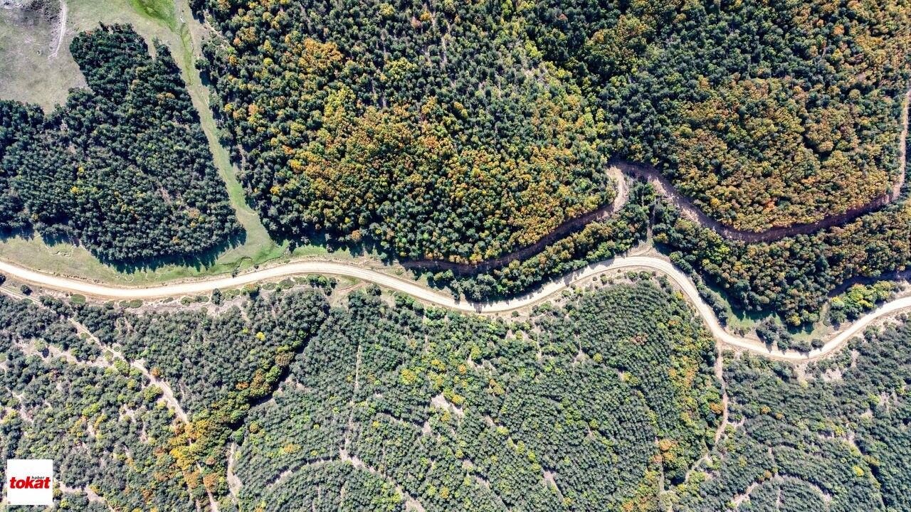 Topçam Yaylası (7)